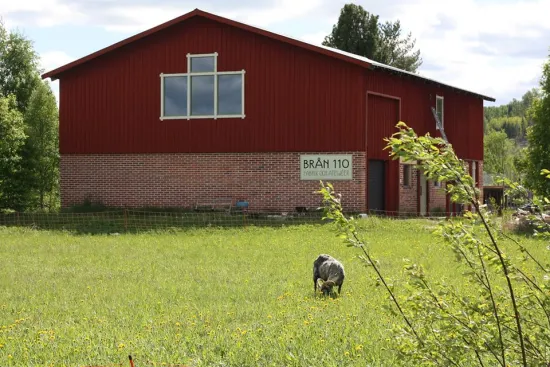 brån 110 Vännäs
