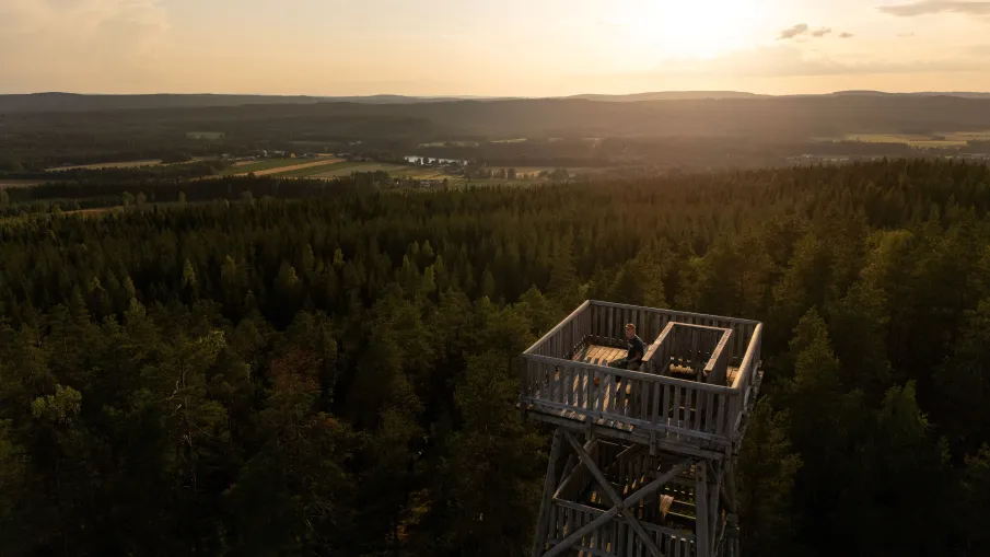 Utsikt från utkiken på Selsknösen
