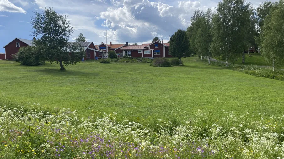 Wallhalla Bed & Breakfast