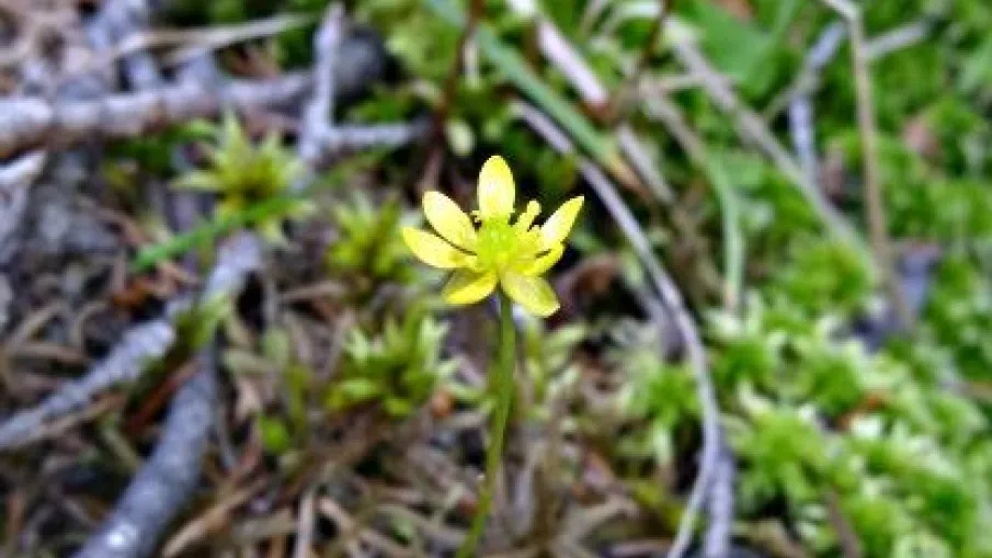 Långbergets naturreservat