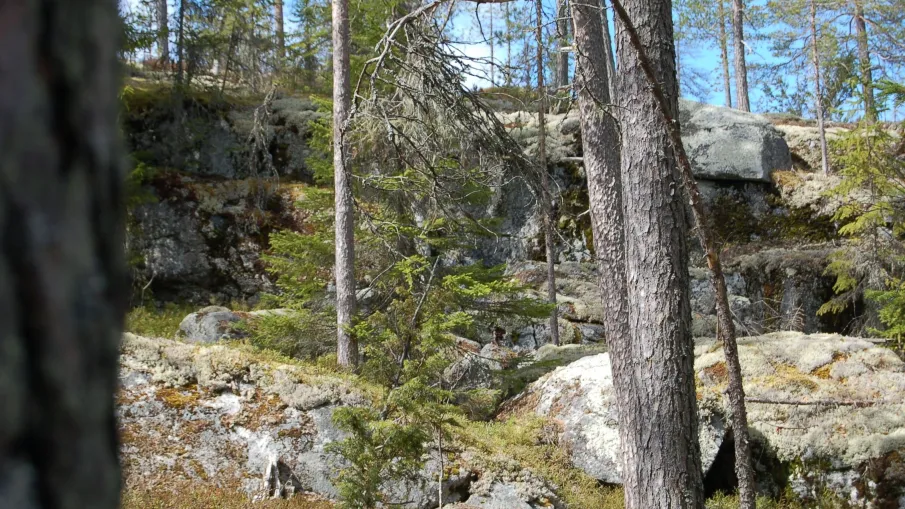 Långsjöbergets naturreservat