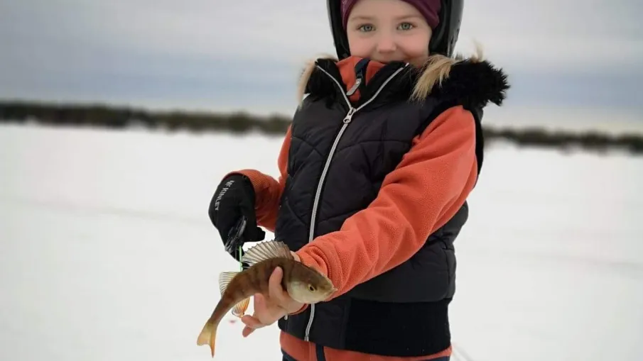 Fiska i Vännäs många sjöar och vattendrag