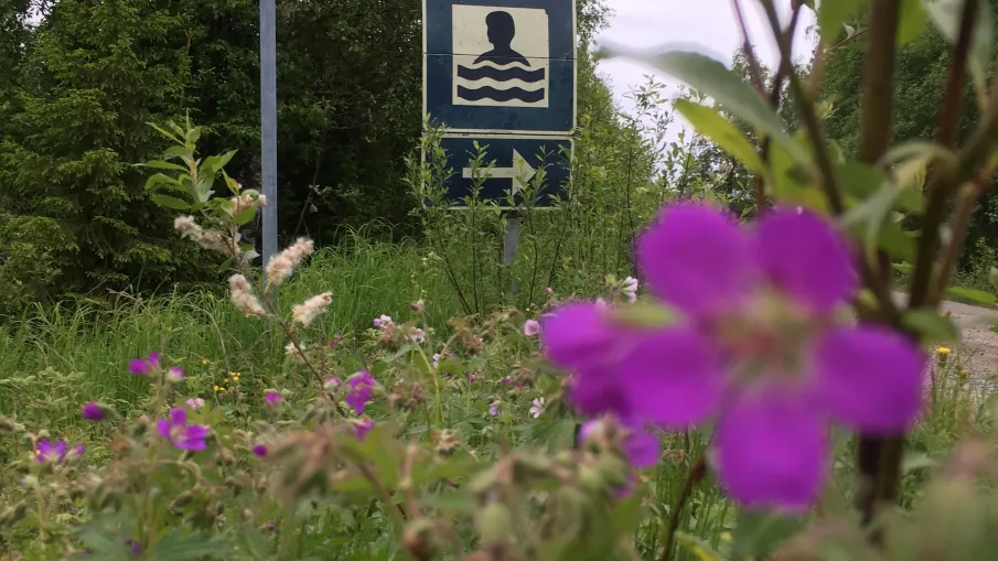 Pengsjögårdens sommarkafé