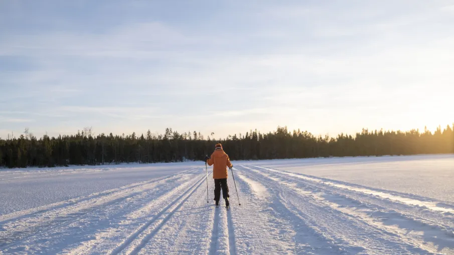 längdskidor
