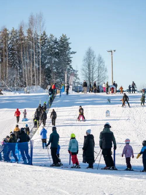 Kö i Middagsbergets familjebacke