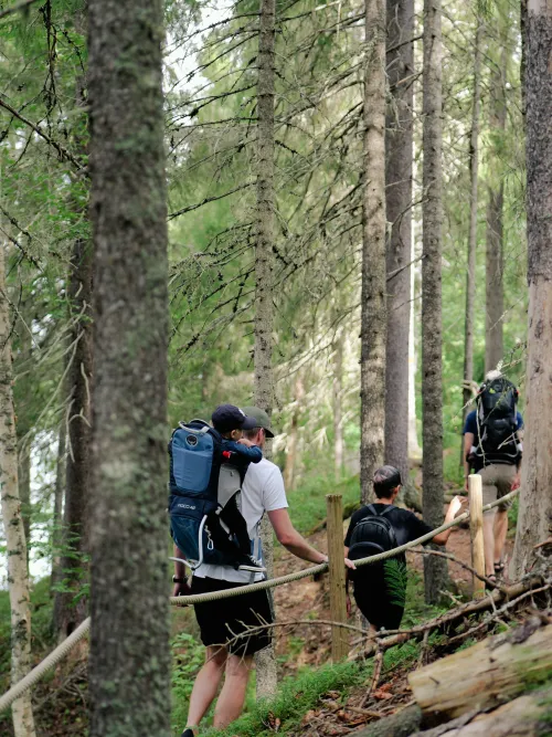 Grupp som vandrar efter vindelälven