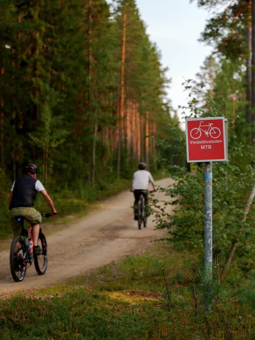 Personer som cyklar efter vindelälvsleden
