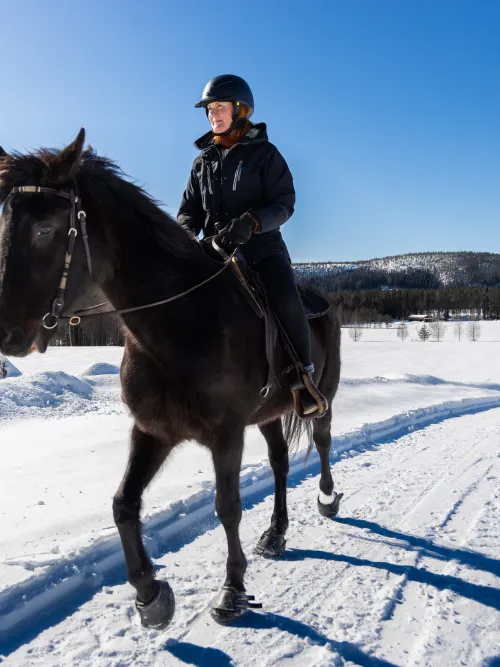 Person som rider på en häst i ett vinterlandskap