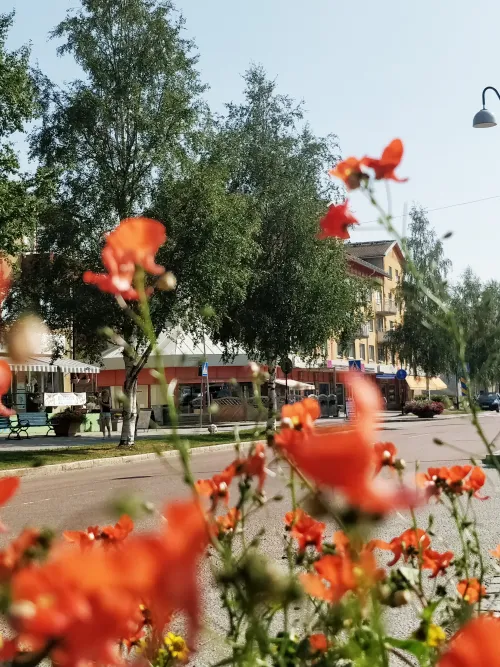 Blommor och butiker i Vännäs centrum