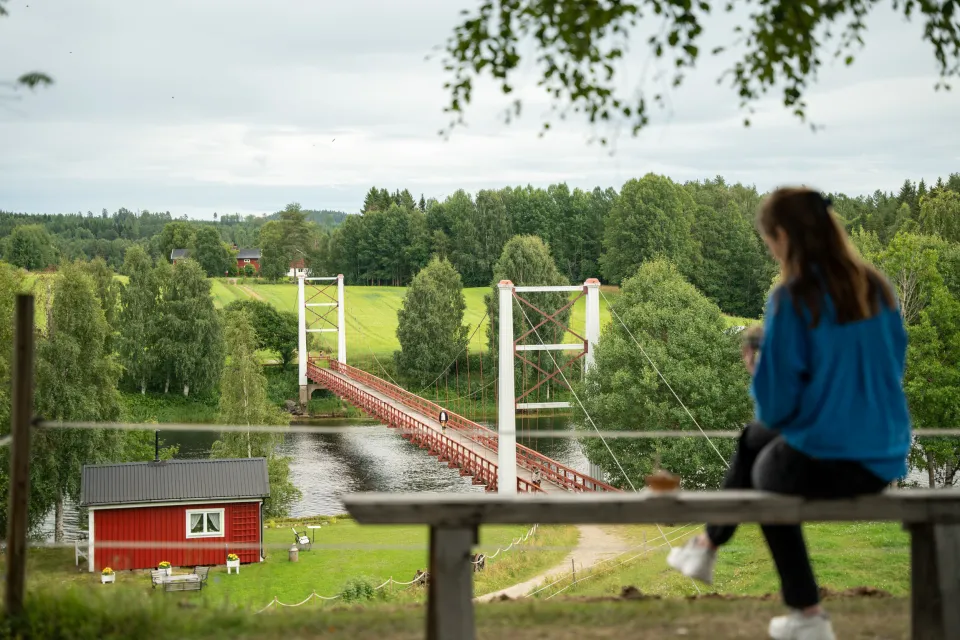 Glassbonden längs med Vindelälven
