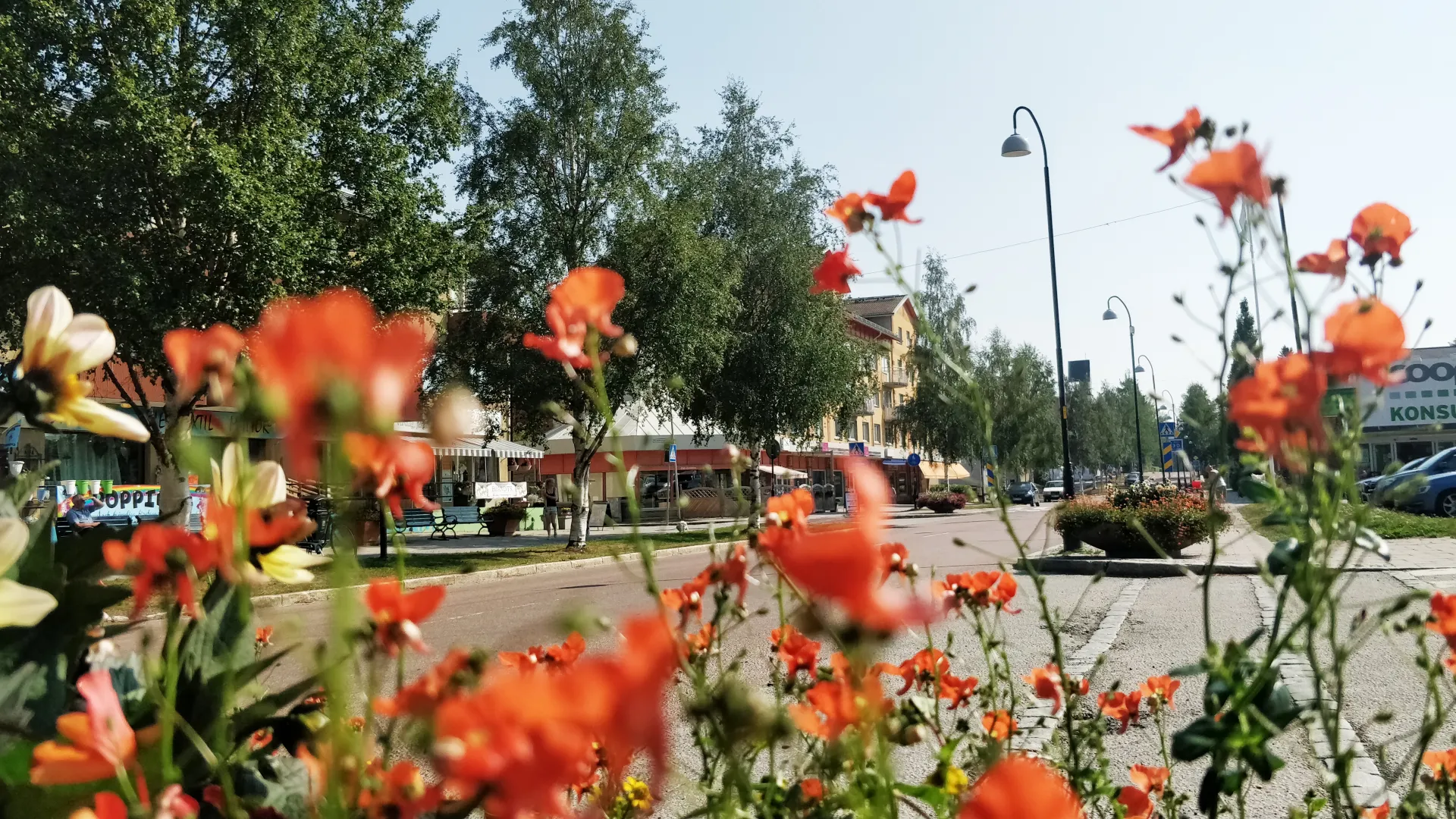 Blommor och butiker i Vännäs centrum
