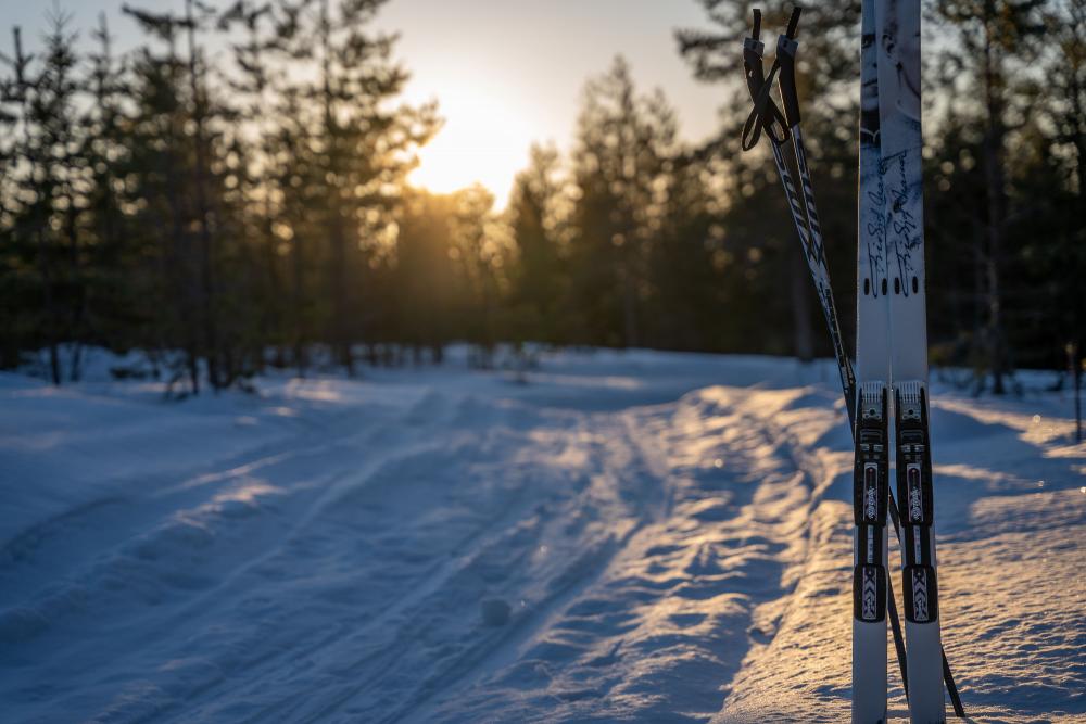 Åka längdskidor i Vännäs